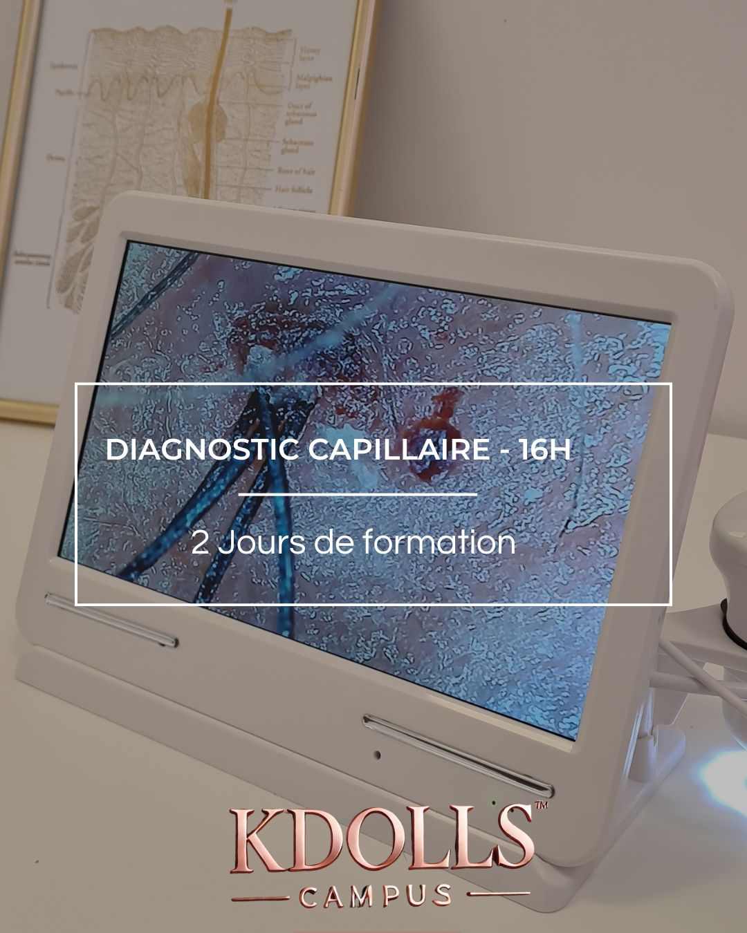 Formations diagnostic Kdolls Campus